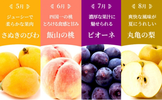 【百果繚乱】 フルーツ 定期便 12ヶ月 城下町の果実 セット 詰め合わせ いちご みかん デコポン はっさく びわ 桃 ピオーネ 梨 シャインマスカット ゴールドキウイ 柿 富有柿 さぬきひめ せと