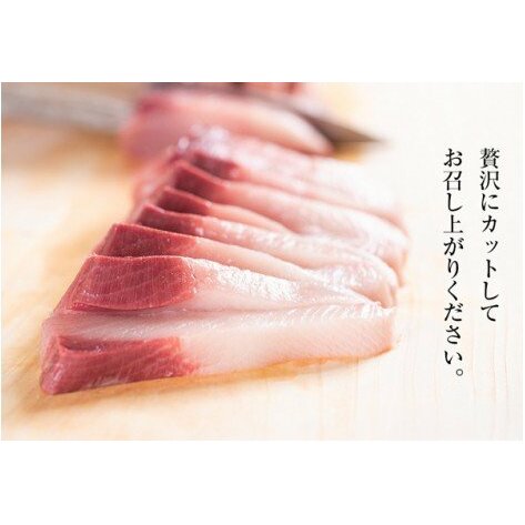 【期間限定・申込は12月14日まで】すだち鰤 一本 約5.0kg 徳島県産 ぶり ブリ ブランド鰤 鳴門 刺身 魚 真空パック すだちブリ ぶり 魚 鰤 ブリ_イメージ4