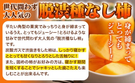 【先行予約】平核無柿 3kg (14~18玉) こだまファーム《9月中旬-11月中旬頃出荷》 柿柿柿柿柿