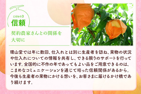 【先行予約】秋の ニューピオーネ 1房 約600g 環山堂株式会社《2024年8月下旬-10月中旬頃より発送予定》岡山県 浅口市 ぶどう 葡萄 ピオーネ フルーツ 果物 送料無料