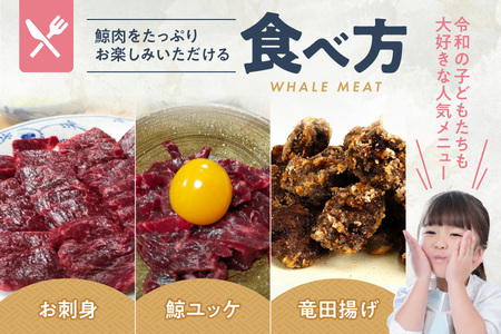 お刺身用鯨赤身肉と鯨肉の竜田揚げの詰め合わせ お刺身鯨 _OS012-0001