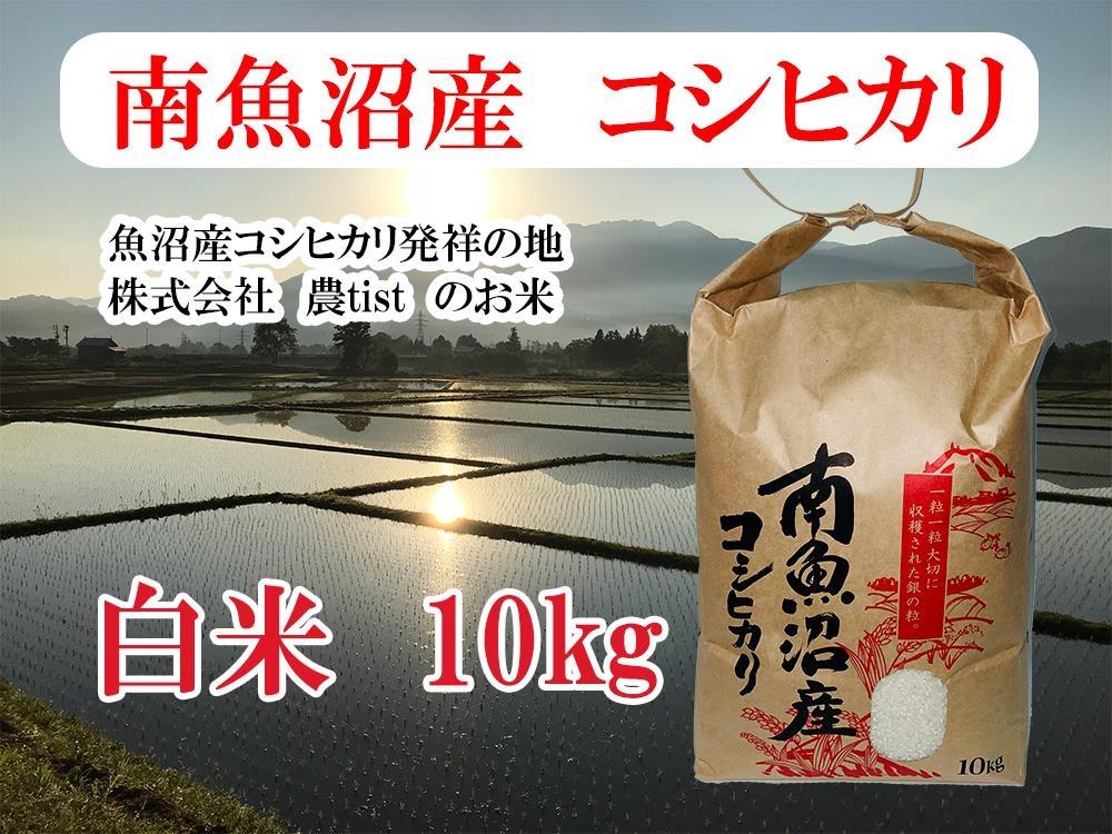 【令和8年産 新米】【南魚沼産】コシヒカリ 白米10kg【銘柄米 ブランド米 精米 こしひかり コシヒカリ 魚沼産 新潟米 産地直送 お米 米 こめ コメ ご飯 御飯 ごはん】