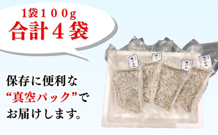 生しらす お刺身 400g(100g×4個) 岬だより 生しらす生しらす生しらす刺し身刺身