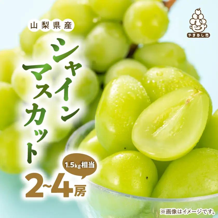 2027年発送先行受付 厳選　池田青果のシャインマスカット2房～4房(1.5kg相当) 【配送不可地域：離島・沖縄県】【1280516】