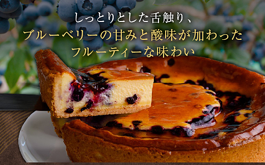 18-05鳥羽国際ホテル  ブルーベリーチーズケーキ