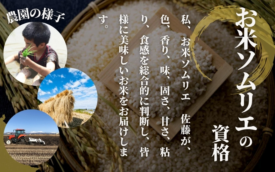 【先行予約】〈令和8年産〉お米ソムリエのお米・ 新之助5kg