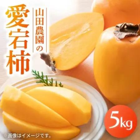 山田農園の愛宕柿　5kg【1655575】