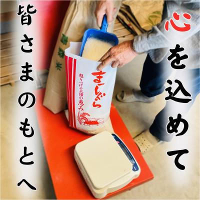 ふるさと納税 十和田市 【令和7年産】青森県産まっしぐら精米10kg |  | 01