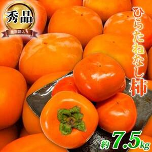 【先行受付】和歌山秋の味覚　平核無柿(ひらたねなしがき)　約7.5kg【日高町】【1216958】