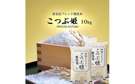 無洗米 こつぶ姫 5kg×2袋 計10kg　5月中旬