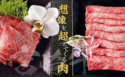 宮崎牛肩ロース焼きしゃぶ300g 宮崎牛ウデ焼肉400g_M132-031