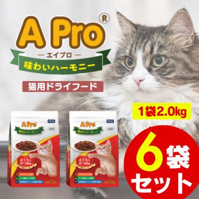 ふるさと納税 久留米市 A Pro 味わいハーモニー まぐろとかつお味 2kg×6袋セット(久留米市)