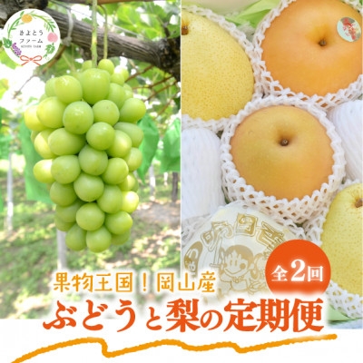
            ＜発送月固定定期便＞＜きよとうファーム＞シャインマスカット大2房と梨2-3種上級品(岡山県産)全2回【4067496】
          