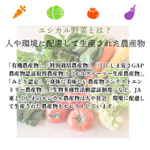 エシカル野菜5種とお米のセット 野菜セット 野菜セット 野菜セット 野菜セット 野菜セット