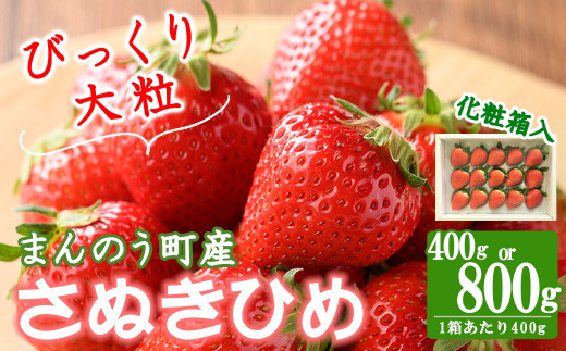 
＜先行予約！2024年2月中旬以降順次発送予定＞＜贈答用＞＜選べる容量＞香川県産 さぬきひめいちご(約400g・約800g/1箱約400g) 苺 イチゴ いちご ストロベリー ブランド 果物 フルーツ 産地直送 man100・man101【Aglio nero】
