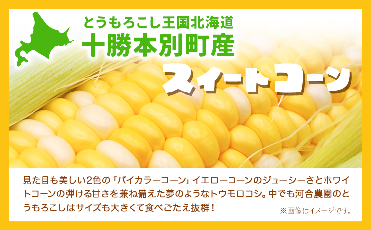 朝採りとうもろこし 河合農園のスイートコーン 12本 特大サイズ(1本380g以上) 河合農園《8月上旬-9月中旬頃出荷》 送料無料 とうもろこし 北海道 本別町 北海道 十勝 本別町産 極甘 特大 