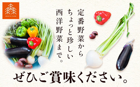 野菜 農家直送 新鮮 野菜 セット ラージサイズ 11～13品 《60日以内に出荷予定(土日祝除く)》 森田農園 青果物 やさい 千葉県 流山市