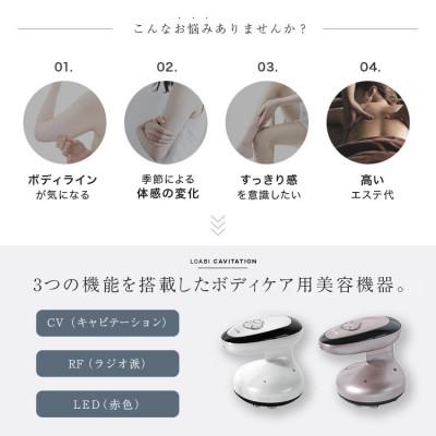 ふるさと納税 犬山市 【LOABI/ロアビ公式】キャビテーション美容機器 OSTENUS オステナス(ホワイト) |  | 01