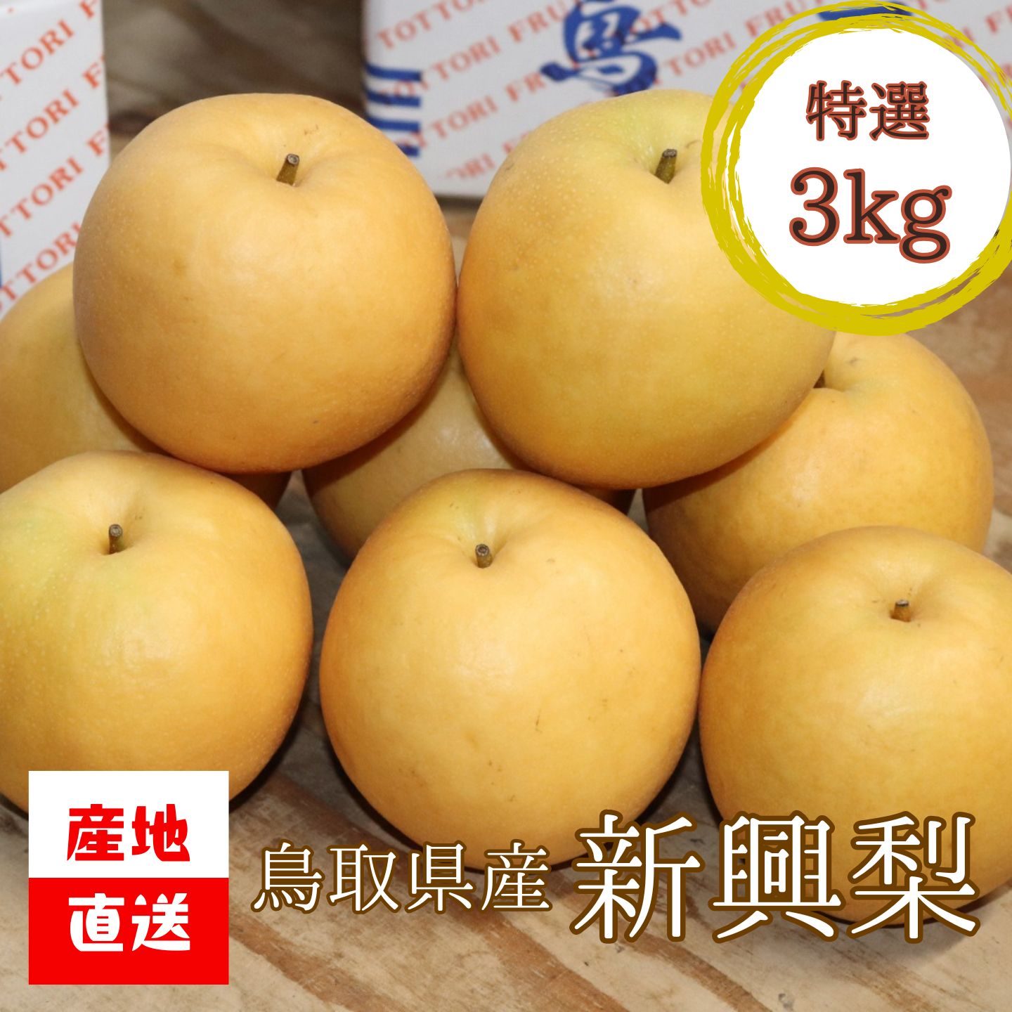 【ふるさと納税】【'26先行予約】【産地直送】[特選] 鳥取県産 新興梨 3kg [25004-0]／ 野田農園
