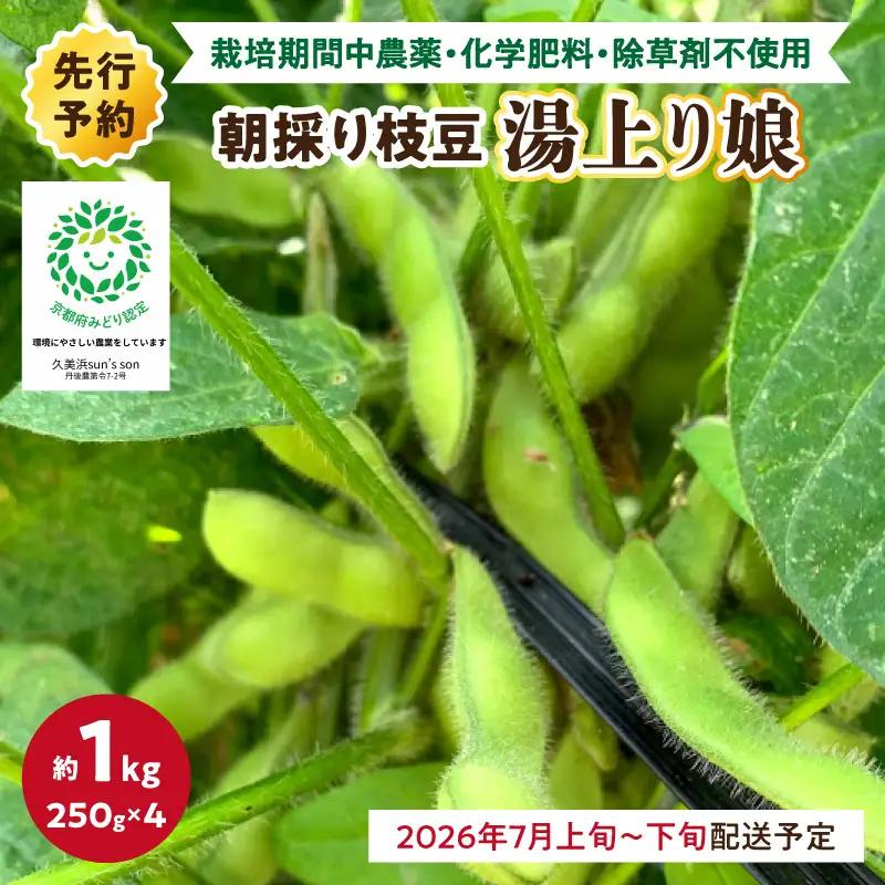 【先行予約／数量限定40】朝採り枝豆（湯上り娘）1kg（2026年7月上旬～発送）枝豆
