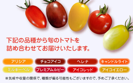 トマト ミディトマト 2.5kg トマト トマト トマト トマト トマト [YDE003]