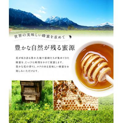 ふるさと納税 高森町 かの蜂 ゴールデンハニー 純粋蜂蜜(1kg×1本)(高森町) |  | 02