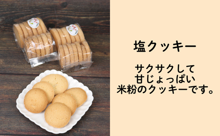 焼き菓子 セット 10個 グルテンフリー 手作りパン工房 みなみ えひめ南農業協同組合 米粉 あきたこまち 塩クッキー 2袋 焼きドーナツ 8個 プレーン いよかん コーヒー 抹茶黒豆 食べ比べ 食べ