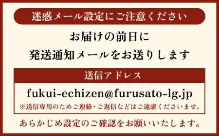 【訳あり】越前がに本場の越前町からお届け！ 越前がに 浜茹で 中サイズ（生で600～800g） × 1杯【11月発送分】【かに カニ 蟹】【福井県 越前町 雄 ズワイガニ ボイル 冷蔵 越前ガニ 越前