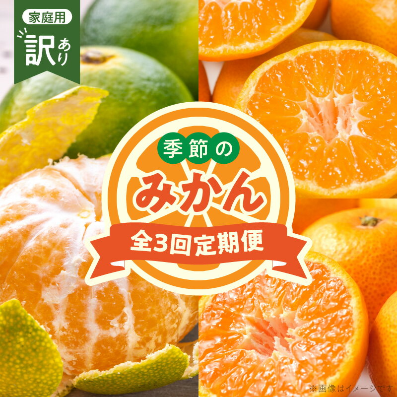 【ふるさと納税】定期便 3回 みかん定期便 約 5kg 3ヶ月連続 お届け 家庭用 訳あり 10月 11月 12月 発送 みかん 極早生 YN26 温州みかん 爽やか みずみずしい 甘み 酸味 完熟 フルーツ 果物 柑橘 旬 お取り寄せ 和歌山県 湯浅町 送料無料