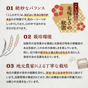 こしひかり 精米 10kg（5kg×2） 令和6年産 コシヒカリ 銘柄米 お米 米 ギフト 贈り物  グルメ 食品 復興 震災 コロナ 能登半島地震復興支援 北陸新幹線 F6P-2299