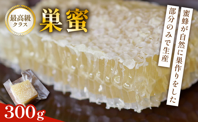 
            巣蜜(コムハニー) 約300g 巣蜜 コムハニー ハチミツ はちみつ ハニー honey 国産 甘い 甘味 真空パック 数量限定 京都府 福地山市
          