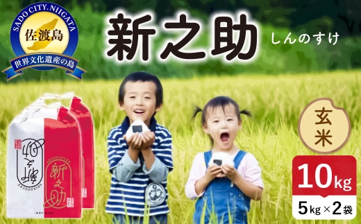 令和8年産 佐渡島産 新之助 玄米10kg | 新潟県産新之助 新潟産新之助 佐渡産新之助 新之助 お米 米 玄米 おこめ コメ 10キロ にいがた さど 新潟県 佐渡市 195962-104402