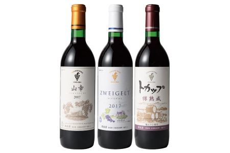 十勝ワイン いけだワイン城おすすめ赤ワインセット3本 山幸 ツバイゲルト 樽熟成 赤ワイン 北海道ワイン 北海道池田町