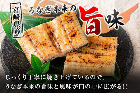 「こだま鰻」宮崎県産 うなぎ白焼き（1尾）140g以上 国産 真空パック【B659】
