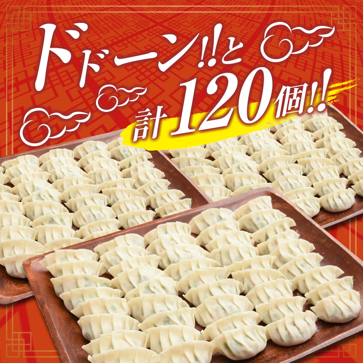 BC67-23_数量限定 自家製餃子 10個×12パック 計120個 惣菜 加工品 国産 おかず 食品 お肉 ぎょうざ 送料無料_イメージ3