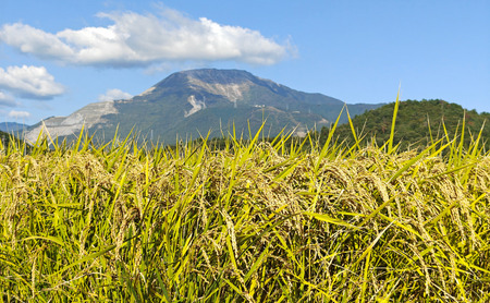 日本酒 純米吟醸 花乃伊吹 お酒 酒 純米吟醸酒 晩酌 アルコール 家飲み 宅飲み 地酒佐藤酒造 芳醇 