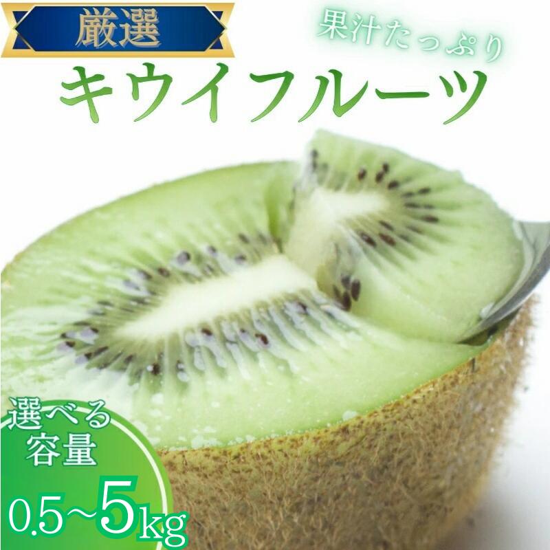 【ふるさと納税】 【選べる容量】厳選 キウイ フルーツ【扁平果】 0.5kg 1kg 2.5kg 5kg【2025年11月中旬より順次発送予定】 ※北海道・沖縄・離島配送不可 / 和歌山 フルーツ 果物 くだもの 旬