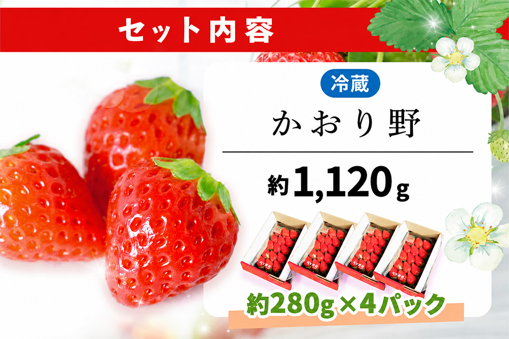【2027年3月発送】【先行予約】【農場直送！】かおり野(約280g×4P)【ふるさと納税 佐賀県 基山町産 げんき農場 苺 ブランド苺 イチゴ いちご フルーツ 果物 くだもの 美味しい おいしい 