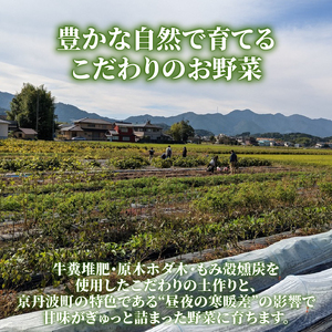 【先行予約】旬のお野菜セット 詰め合わせ （7～10品目） 旬 野菜 国産 こだわり 京都府産 京丹波町産 季節 セット 有機肥料 化学農薬不使用 化学肥料不使用 除草剤不使用 おいしい おすすめ 一