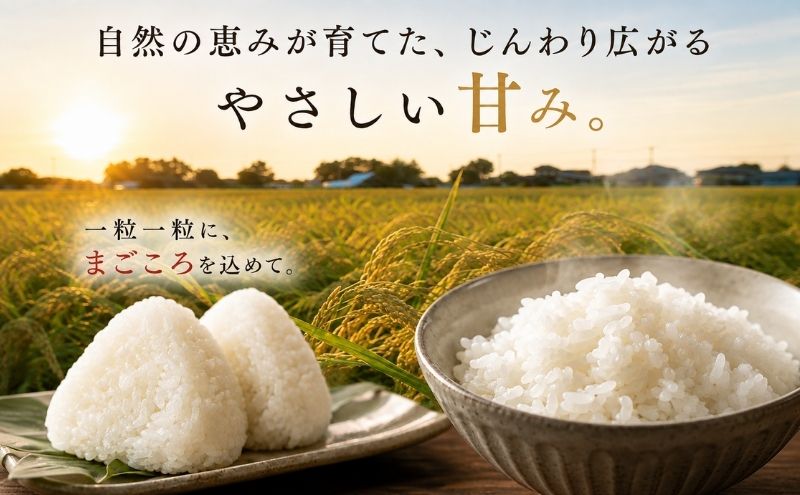 千葉県一宮町産特別肥料栽培『カツオ＋カニ』コシヒカリ（白米１０㎏）令和８年産米【2026年発送分】先行予約　一等米　10kg　１袋　白米　精米　先行予約