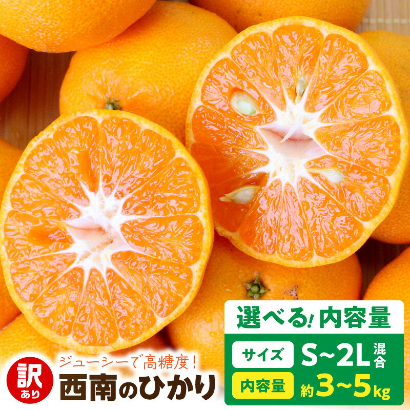 【ふるさと納税】【2026年先行予約】 訳あり 西南のひかり 選べる内容量 約3kg 約5kg S～2Lサイズ混合 家庭用 高糖度 ジューシー 希少新品種 アンコール 興津早生 ポンカン 清見 かけ合わせ 薄皮 食べやすい 柑橘 フルーツ 果物 産地直送 和歌山県 湯浅町 送料無料