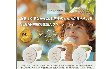 世界中の人たちが食べられる！VEGAN対応乳酸菌入り「三ツ星ジェラート」定番12個セット（バニラ×4、チョコ×4、抹茶×4）ジェラート セット アイス スイーツ 豊島区 東京