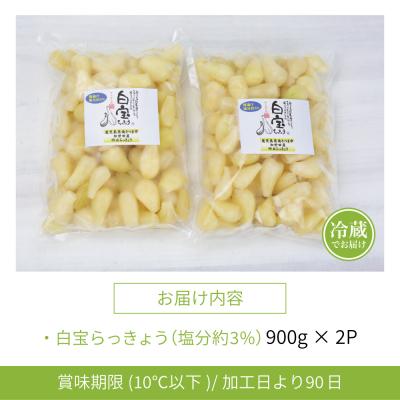 ふるさと納税 南さつま市 【鹿児島県産】白宝らっきょうの塩漬け 900g×2P |  | 01