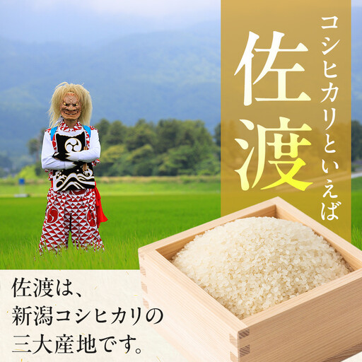 【先行予約】【6ヶ月定期便】令和8年産新米佐渡産コシヒカリ5kg