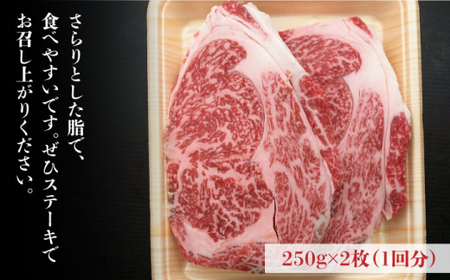 【全6回定期便】肉の旨味を堪能！博多和牛 牛肉 リブロース ステーキ 500g（250g×2） ＜肉のくまもと屋＞那珂川市 定期便 牛肉 肉 黒毛和牛 ブランド牛 国産  BBQ バーベキュー  12