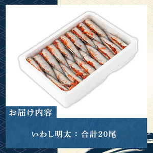ピリ辛いわし明太(20尾)明太子 めんたいこ イワシ 鰯【マル五】as06-042