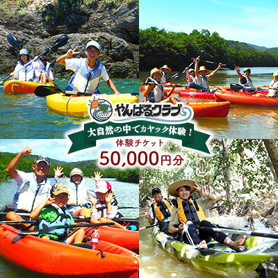 【ふるさと納税】大自然の中でカヤック体験！やんばるクラブ　体験チケット（50000円分） カヤック 体験 慶佐次川 大自然 探検 冒険 マングローブ やんばるの森 生き物 植物 亜熱帯 ガイド付き ガイドツアー 小学生 3歳 自然観察 ヤンバル やんばる 沖縄 東村