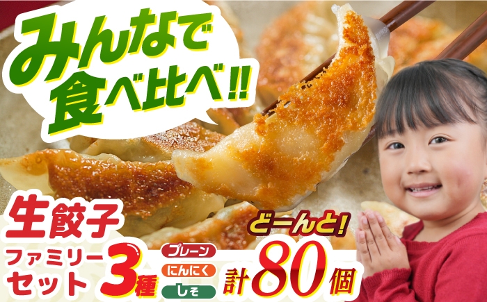 
            【大好評】食べ比べ生餃子！ファミリーセット(80個入り) 餃子 ぎょうざ ギョーザ　岐阜市 / ドルフィン株式会社 [ANHL005]
          