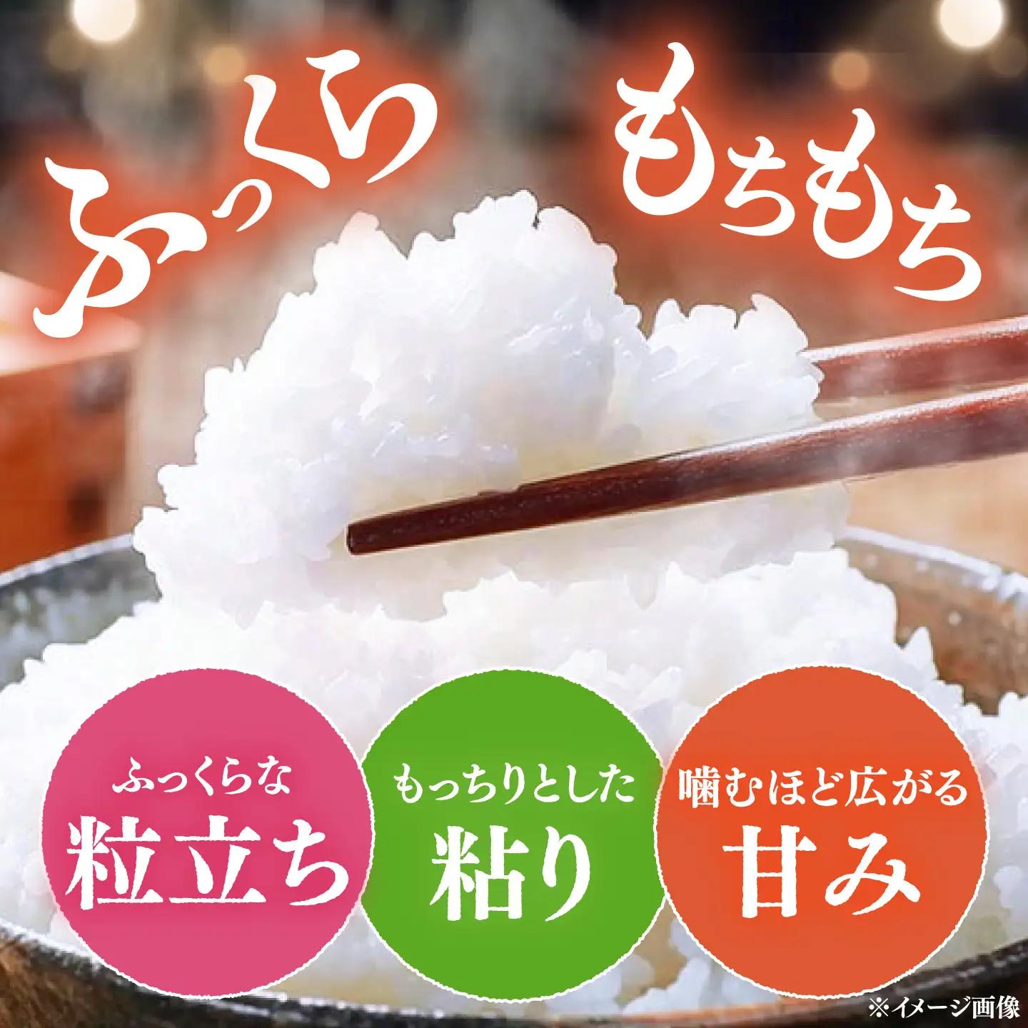 【R8年産】【2026年10月中旬頃より順次発送】特A 対馬産 にこまる 5kg×2「ほたる舞う三根川の米」 新米 米 10kg  [WAJ001]
