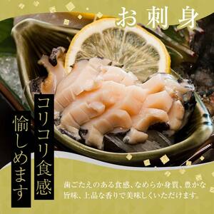 【先行予約】天然 冷凍 あわび 300g（大サイズ・2～3個）（11月～12月末までに発送）＜物産館運営振興会((株)ハマグチ)＞ あわび 鮑 アワビ 海産物 魚貝類 ふるさと納税 北海道 森町 mr